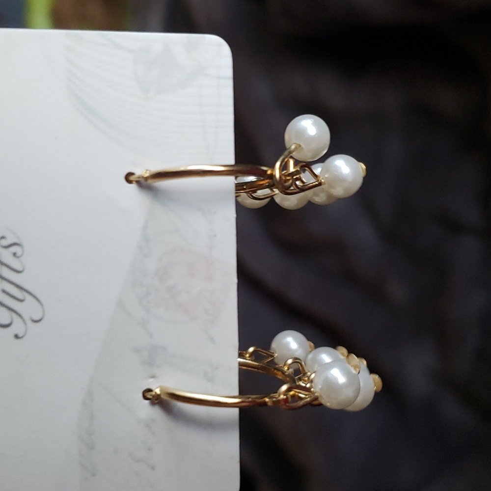 Earrings